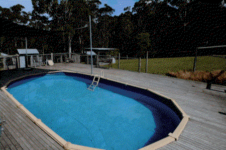 King Parrot Holiday Cottages - Redcliffe Tourism 5