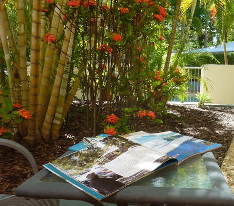 Kings Bay Apartments - Redcliffe Tourism 5