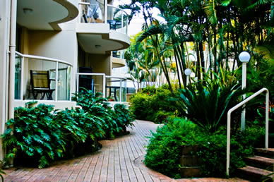 Miami Beachside Apartments - Redcliffe Tourism 9
