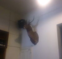 Union Hotel - Redcliffe Tourism