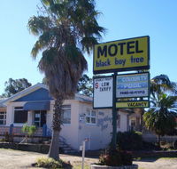 Blackboy Tree Motel - Redcliffe Tourism