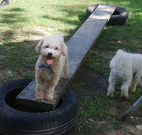 Beenleigh Pet Motel - Redcliffe Tourism