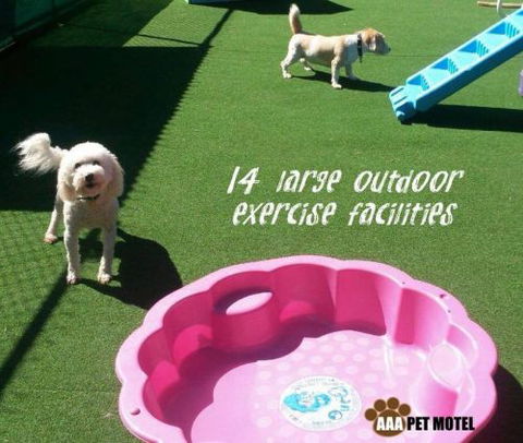 AAA Pet Motel - Redcliffe Tourism 2