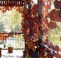 The Vines Motel amp Cottages - Redcliffe Tourism