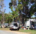 Elliston Caravan Park - Redcliffe Tourism