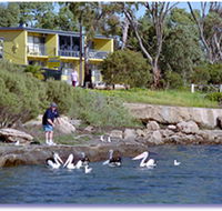Almonta Holiday Apartments - Redcliffe Tourism