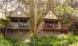Great Ocean Road Cottages - Redcliffe Tourism 1