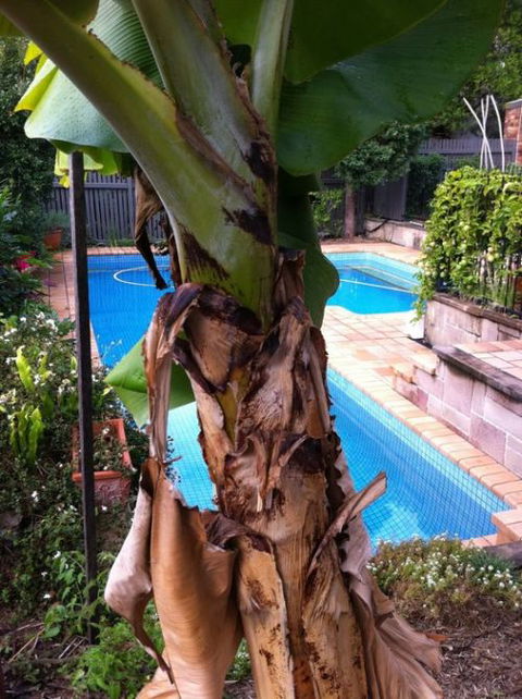 Bardon B&B - Redcliffe Tourism 5