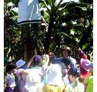 Beachfarm Farmstay - Redcliffe Tourism