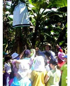 Beachfarm Farmstay - Redcliffe Tourism 0