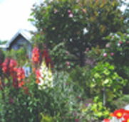 Hopfield Country Cottages - Redcliffe Tourism
