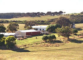 Sun Valley Eco Farm - Redcliffe Tourism 0