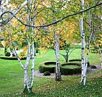 Villarett Gardens - Redcliffe Tourism