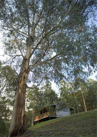 Vesper VIC Redcliffe Tourism