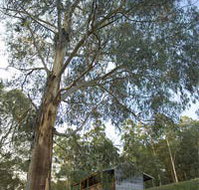 Outpost Restaurant - Redcliffe Tourism