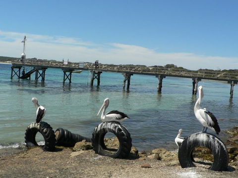 Fareview Beach House - Redcliffe Tourism 3