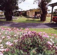 Brigadoon Holiday Units - Redcliffe Tourism