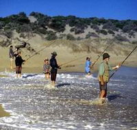 Flippers Beachouse - Redcliffe Tourism