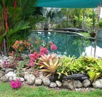 Daintree Wild Bed And Breakfast - Redcliffe Tourism