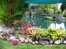 Daintree Wild Bed And Breakfast - Redcliffe Tourism 0