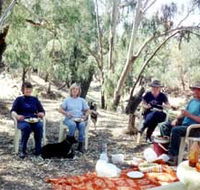 Bimbimbi And Little Hollow Farm Stay - Redcliffe Tourism