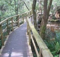 The Mouses House - Redcliffe Tourism