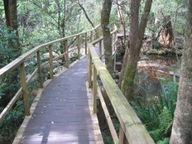 The Mouses House - Redcliffe Tourism 0