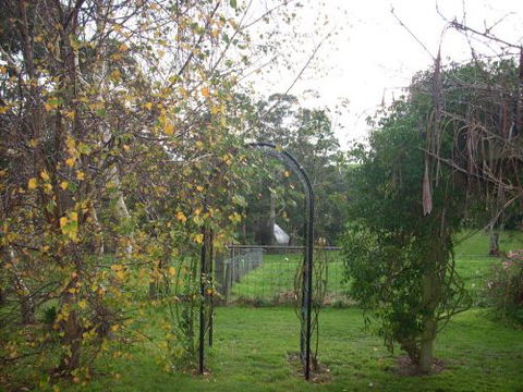 Whitelaw's Rest - Redcliffe Tourism 1