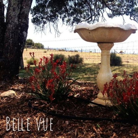 Belle Vue Studio - Redcliffe Tourism 1