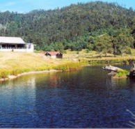 Millybrook Lodge - Redcliffe Tourism