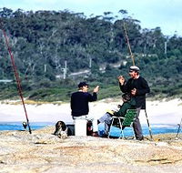 Binalong Bungalows - Redcliffe Tourism