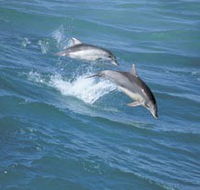 Seachange - Redcliffe Tourism