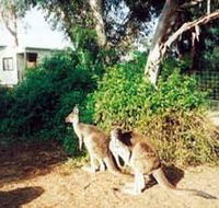 Avoca Dell Caravan Park - Redcliffe Tourism
