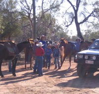 Evening Star Tourist Park - Redcliffe Tourism