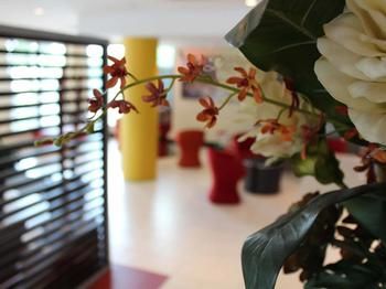 Ibis Newcastle - Redcliffe Tourism 24
