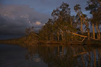 Lake Weyba Cottages Noosa - Redcliffe Tourism 27