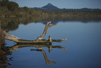 Lake Weyba Cottages Noosa - Redcliffe Tourism 28