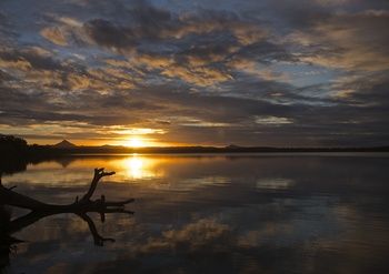 Lake Weyba Cottages Noosa - Redcliffe Tourism 33