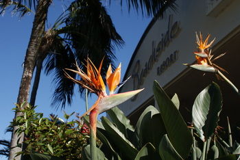 Beachside Resort - Kawana Waters - Redcliffe Tourism 4