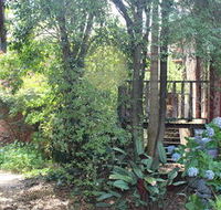 Storey Grange - Redcliffe Tourism
