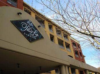 Waldorf Randwick Serviced Apartments - Redcliffe Tourism 5