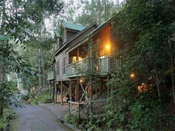 Barrington Wilderness Cedar Lodge Accommodation - Redcliffe Tourism 3