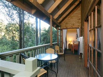 Barrington Wilderness Cedar Lodge Accommodation - Redcliffe Tourism 5