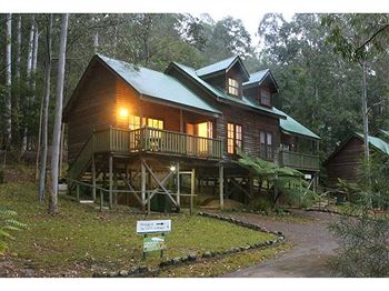 Barrington Wilderness Cedar Lodge Accommodation - Redcliffe Tourism 6