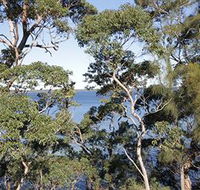 The Edgewater Bed amp Breakfast - Redcliffe Tourism