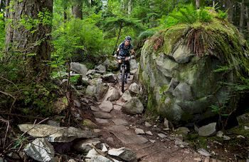 Mountain Element Retreats - Redcliffe Tourism 9