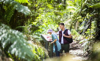 Mountain Element Retreats - Redcliffe Tourism 10