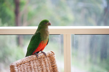 Mountain Element Retreats - Redcliffe Tourism 13