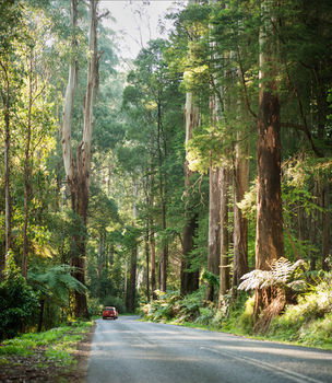 Mountain Element Retreats - Redcliffe Tourism 15