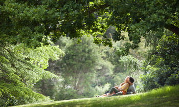 Mountain Element Retreats - Redcliffe Tourism 16